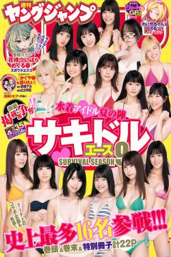 电视剧新还珠格格